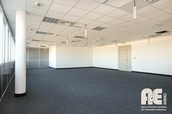 Location Bureau - Toulouse (31100)-photo-3