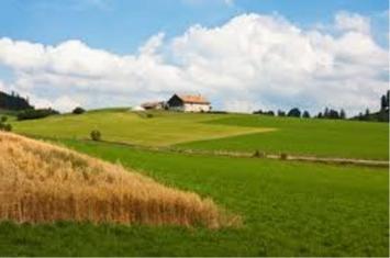 Location Local Commercial - Haut-Rhin (68)-photo-2