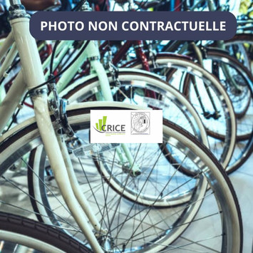 Vente - Cycles - Charente-Maritime (17)