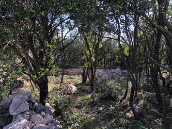 Vente Terrain ZI / ZA - Viols-le-Fort (34380)-photo-3