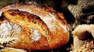 Vente - Boulangerie - Pâtisserie - Agen (47000)-photo-2