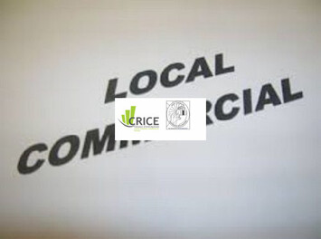 Location Local Commercial - Royan (17200)