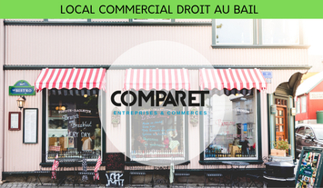Location Local Commercial - Aix-les-Bains (73100)-photo-2