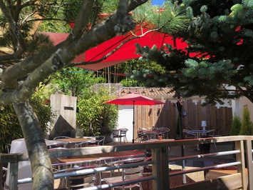 Vente - Hôtel - Restaurant - Landes (40)-photo-4