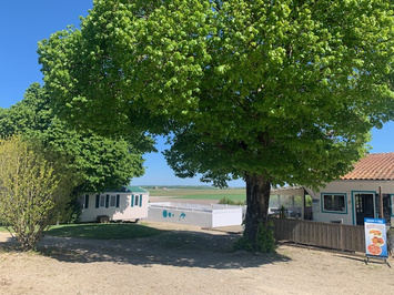 Vente - Camping - Royan (17200)