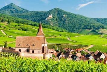 Location Local Commercial - Haut-Rhin (68)
