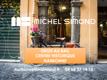 Location Local Commercial - Aude (11)-photo-3