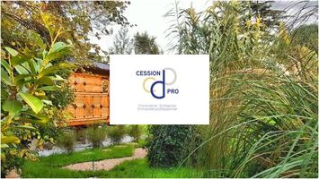 Vente - Gîte - Ales (30100)-photo-3