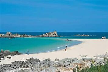 Vente - Bar - Brasserie - Tabac - Quimper (29000)-photo-4