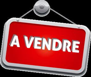 Vente de murs de boutique - L'Ile-Bouchard (37220)