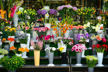 Vente - Fleuriste - Ardèche (07)