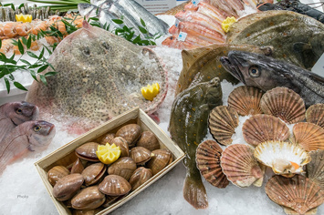 Vente - Poissonnerie - Vente à emporter - Tréguier (22220)