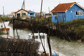 Vente - Exploitation agricole - Gironde (33)-photo-3