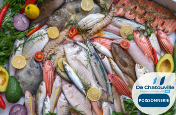 Vente - Poissonnerie - Bandol (83150)