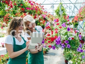 Vente - Cadeaux souvenirs - Fleuriste - Eure (27)