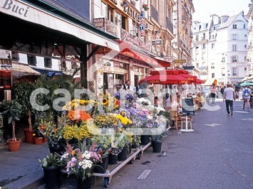 Vente - Fleuriste - Seine-Maritime (76)