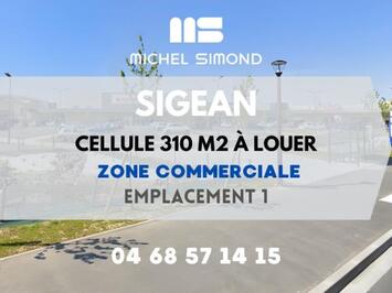 Location Local Commercial - Aude (11)