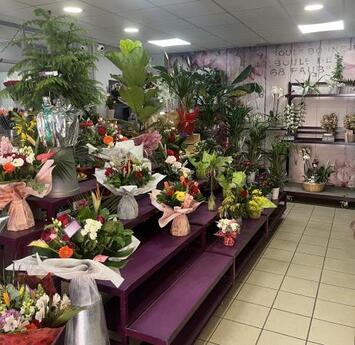 Vente - Fleuriste - Vaucluse (84)