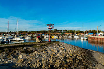 Vente - Restaurant - Chasse pêche - Andernos-les-Bains (33510)-photo-3