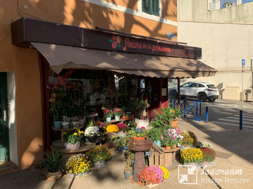 Vente - Fleuriste - Martigues (13500)-photo-2