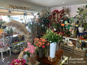 Vente - Fleuriste - Martigues (13500)-photo-3