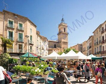 Vente - Brasserie - Licence IV - Hérault (34)-photo-2