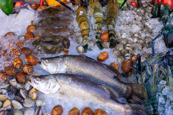Vente - Epicerie - Poissonnerie - Traiteur - Gironde (33)-photo-3
