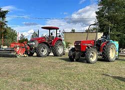 Vente - Jardinerie - Aménagement Extérieurs - Gers (32)-photo-4