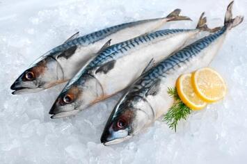 Vente - Poissonnerie - Bouches-du-Rhône (13)