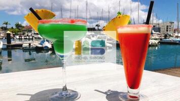 Vente - Brasserie - Restaurant - Pizzeria - Guadeloupe (971)-photo-2