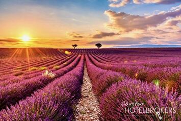 Vente - Hôtel - Restaurant - Apt (84400)