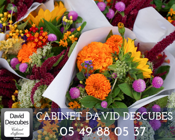 Vente - Fleuriste - Niort (79000)