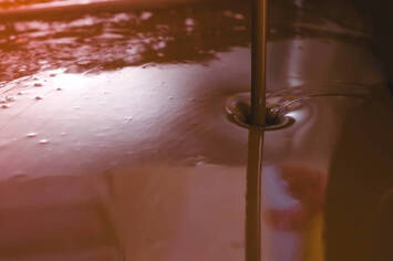 Vente - Chocolaterie Chocolatier - Quimper (29000)-photo-4