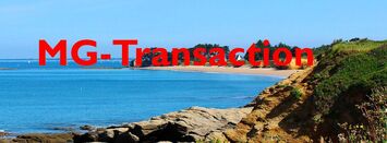 Vente - Bar - Brasserie - Restaurant - Morbihan (56)