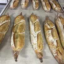 Vente - Boulangerie - Pâtisserie - Pyrénées-Atlantiques (64)