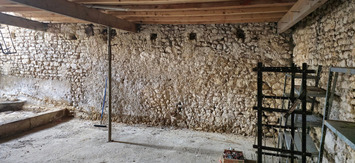 Vente Entrepôt / Local d'activités - Mosnac (17240)-photo-3