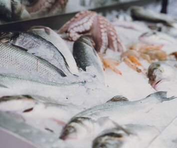 Vente - Poissonnerie - Gujan-Mestras (33470)