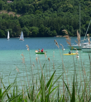 Vente - Bar - Restaurant - Café - Glacier - Grenoble (38000)-photo-2