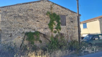 Vente Entrepôt / Local d'activités - Saint-Médard-d'Aunis (17220)-photo-3