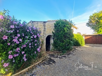 Vente Entrepôt / Local d'activités - Saint-Médard-d'Aunis (17220)-photo-4