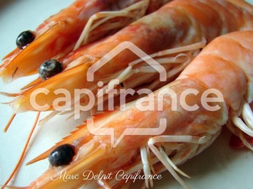Vente - Poissonnerie - Canet-en-Roussillon (66140)