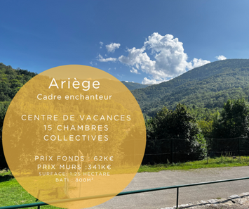 Vente - Gîte - Complexe de Loisirs - Ariège (09)-photo-1