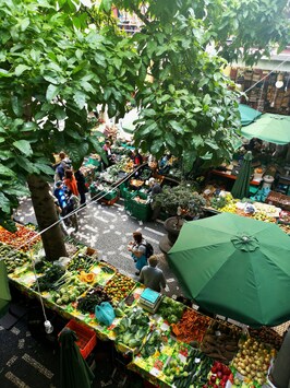 Vente - Alimentation - Epicerie - Traiteur - Arcachon (33120)