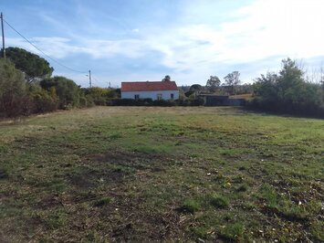 Vente Terrain ZI / ZA - Pietroso (20242)