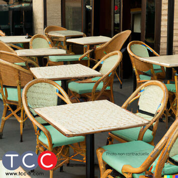 Vente - Restaurant - Blagnac (31700)