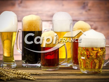 Vente - Bar - Brasserie - Aix-les-Bains (73100)