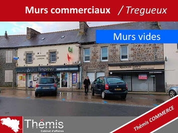 Vente de murs de boutique - Trégueux (22950)