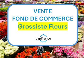 Vente - Fleuriste - Biguglia (20620)