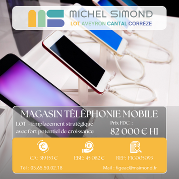 Vente - Services informatiques - Téléphonie - Lot (46)