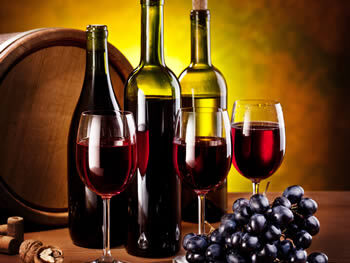 Vente - Cave à vins - Aude (11)